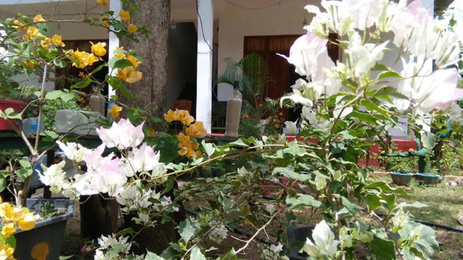 Guest house N S K Green Villa Sigiriya