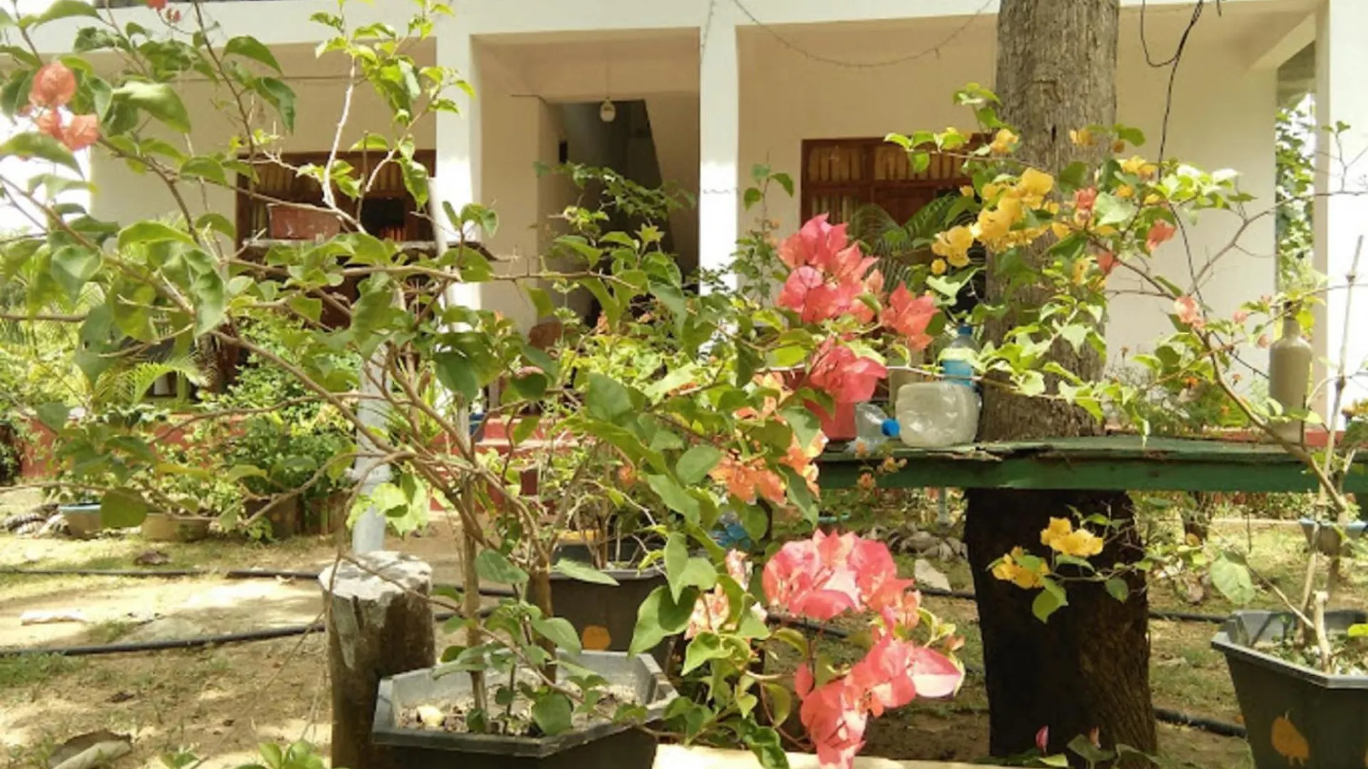 N S K Green Villa Sigiriya Guest house