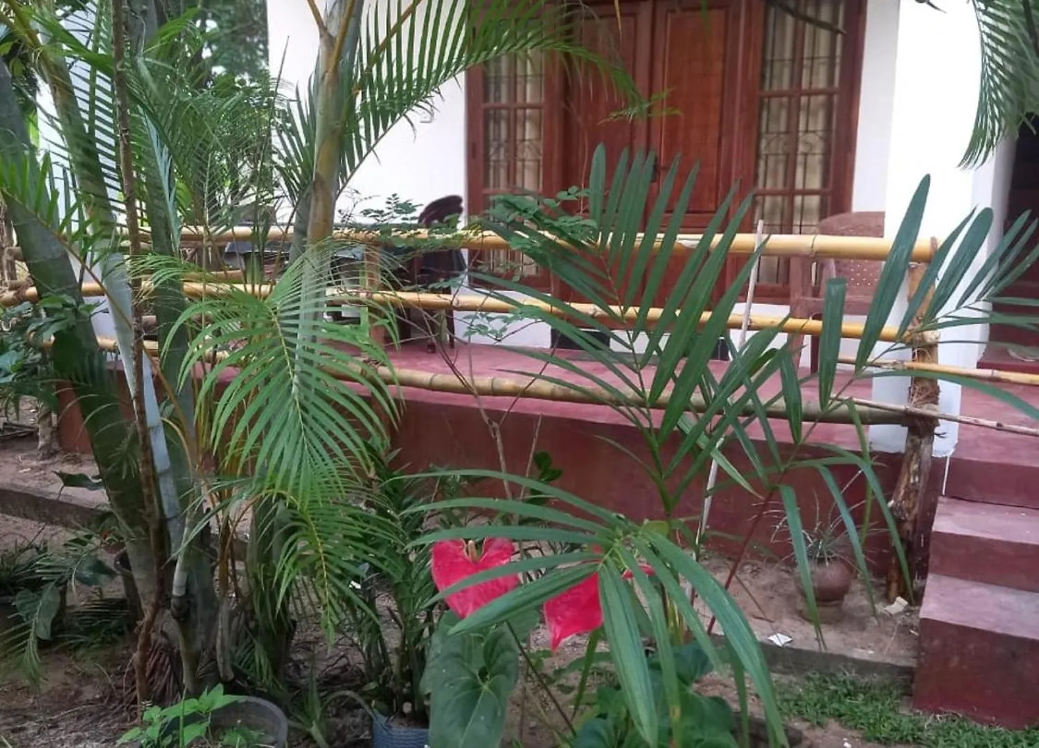 Guest house N S K Green Villa Sigiriya Sri Lanka