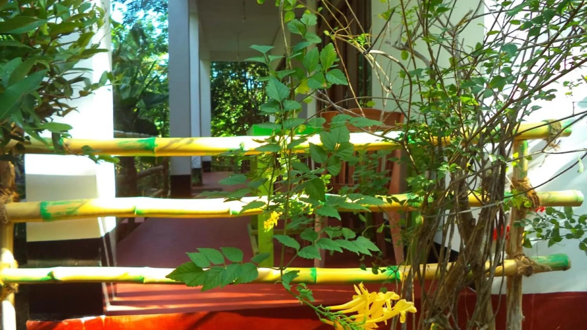 Guest house N S K Green Villa Sigiriya