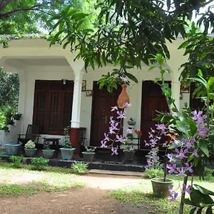 Flower Guest Guest house